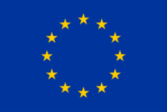 European Union flag